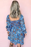 Blue and Brown Dress