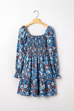 Blue and Brown Dress